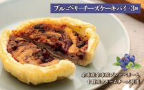 アップルチーズケーキパイとブルーベリーチーズケーキパイセット 計6個 各3個 北海道産【ポイント交換専用】
