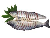 北海道産新巻鮭（オス）切身姿づくり　約3～3.3kg