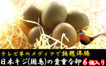 『満天☆青空レストランでご紹介！』日本キジ（国鳥）の貴重な卵