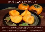 ■和歌山の種なし柿 約7.5kg（秀品：サイズ・品種おまかせ）/紀伊国屋文左衛門本舗