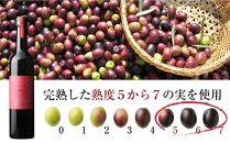 【井上誠耕園】～季節限定～ エキストラヴァージンオリーブオイル 450g×2本セット (完熟＆緑果 大ビン)