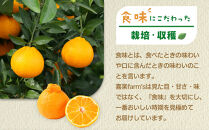 【産地直送】☆不知火☆家庭用☆約10kg