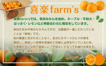 【産地直送】☆不知火☆家庭用☆約3kg