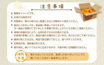 【産地直送】☆不知火☆家庭用☆約3kg