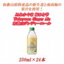 和歌山ジンジャーエール 250ml ×24本JAわかやま 梅ひと雫 Wakayama Ginger Ale
