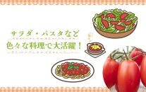 【2024年5月出荷分】和歌山産ミニトマト「アイコトマト」約2kg（S・Mサイズおまかせ）