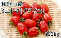 【6月出荷分】和歌山産ミニトマト「アイコトマト」約2kg（S・Mサイズおまかせ）