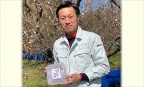 紀州南高梅　はちみつ梅500ｇ・桃風味梅500ｇ食べ比べセット