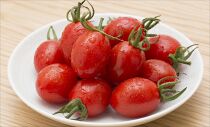 高級ミニトマト　謹製蕃茄　1kg