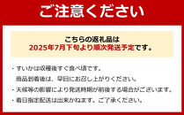 【新潟県 南魚沼産】八色原すいか大玉１玉