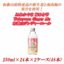 JAわかやま 生姜丸しぼり Wakayama Ginger Ale　和歌山ジンジャーエール 250ml×24本×2ケース(48本入)