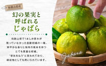 濃い×2&nbsp;和歌山県の柑橘じゃばら飴&nbsp;3袋&nbsp;【SW94】