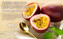 【2026年発送&nbsp;先行受付】パッションフルーツ&nbsp;化粧箱12個入り×3箱&nbsp;計36個【武富農園】【果物&nbsp;くだもの&nbsp;食品&nbsp;パッションフルーツ&nbsp;南国&nbsp;トロピカルフルーツ&nbsp;美味しいフルーツ&nbsp;自然の恵み&nbsp;フルーツギフト&nbsp;新鮮フルーツ&nbsp;国産フルーツ&nbsp;健康志向&nbsp;果汁たっぷり&nbsp;夏の味覚&nbsp;果物詰め合わせ&nbsp;季節の果物&nbsp;贈り物&nbsp;&nbsp;鹿児島県&nbsp;奄美大島&nbsp;瀬戸内町】