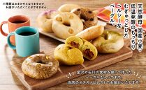 【もっちりむぎゅっ！】金沢の焼きたてベーグルおまかせ8個セット（冷凍） パン 冷凍パン ベーグル ハグ・ミトン・ワークス  石川 金沢 加賀百万石 加賀 百万石 北陸 北陸復興 北陸支援