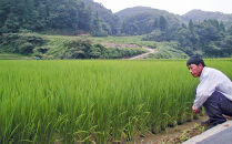 令和7年産&nbsp;新米&nbsp;金沢いやさか米&nbsp;コシヒカリ（精米）5kg&nbsp;&nbsp;金沢市&nbsp;加賀百万石&nbsp;コシヒカリ&nbsp;玄米&nbsp;北陸産米&nbsp;自然栽培&nbsp;石川県産米&nbsp;新米&nbsp;令和米&nbsp;食味良好&nbsp;人気&nbsp;おすすめ&nbsp;白米&nbsp;玄米&nbsp;和食&nbsp;米農家&nbsp;ごはん&nbsp;お取り寄せ&nbsp;通販&nbsp;送料無料&nbsp;ふるさと納税