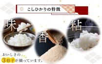 【金沢産】こしひかり 10kg 米 お米 コシヒカリ 金沢 米 白米 こめ 石川 米