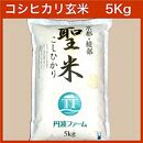 京都府産コシヒカリ　「聖米」　玄米　5kg