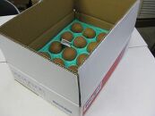 【さぬき讃フルーツ】さぬきゴールドキウイ&nbsp;約3.5kg&nbsp;キウイ&nbsp;フルーツ&nbsp;キウイフルーツ&nbsp;果物&nbsp;くだもの&nbsp;&nbsp;人気&nbsp;小豆島