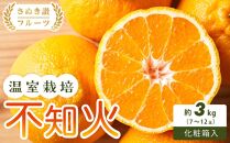 【さぬき讃フルーツ】不知火 (温室栽培) 化粧箱入り 約3kg