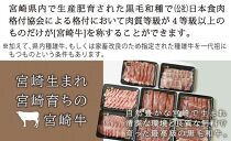 宮崎牛しゃぶすき＆焼肉6ヶ月コース 合計4.2kg 【定期便】