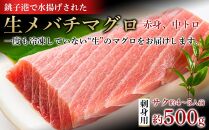 生メバチマグロ（刺身用サク） 500g