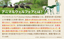 北海道旭川産&nbsp;ナチュラルチーズ4種セット500g程度&nbsp;【&nbsp;チーズ&nbsp;ちーず&nbsp;cheese&nbsp;チーズセット&nbsp;ちーずせっと&nbsp;cheeseset&nbsp;モッツアレラチーズ&nbsp;ストリングチーズ&nbsp;カチョカヴァロチーズ&nbsp;ナッティーチーズ&nbsp;乳製品&nbsp;牛乳&nbsp;乳&nbsp;手造り&nbsp;北海道&nbsp;旭川市&nbsp;】_00130