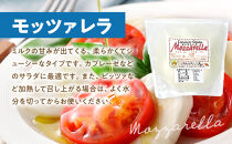 北海道旭川産&nbsp;ナチュラルチーズ4種セット500g程度&nbsp;【&nbsp;チーズ&nbsp;ちーず&nbsp;cheese&nbsp;チーズセット&nbsp;ちーずせっと&nbsp;cheeseset&nbsp;モッツアレラチーズ&nbsp;ストリングチーズ&nbsp;カチョカヴァロチーズ&nbsp;ナッティーチーズ&nbsp;乳製品&nbsp;牛乳&nbsp;乳&nbsp;手造り&nbsp;北海道&nbsp;旭川市&nbsp;】_00130