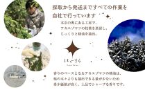 【ギフト用】北海道アロマ　はぐりら～Hug&Relax～森のかおり／アロマウッド_00133