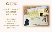【スティック蜂蜜】アカシア 2.5g×100本入_00512