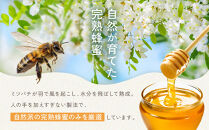 【スティック蜂蜜】アカシア&nbsp;2.5g×100本入【&nbsp;ハチミツ&nbsp;はちみつ&nbsp;ハニー&nbsp;防災グッズ&nbsp;常温&nbsp;保存&nbsp;備蓄&nbsp;防災食&nbsp;非常食&nbsp;保存食&nbsp;北海道&nbsp;旭川市&nbsp;】_00512