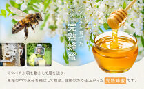 【スティック蜂蜜】アカシア&nbsp;2.5g×100本入【&nbsp;ハチミツ&nbsp;はちみつ&nbsp;ハニー&nbsp;防災グッズ&nbsp;常温&nbsp;保存&nbsp;備蓄&nbsp;防災食&nbsp;非常食&nbsp;保存食&nbsp;北海道&nbsp;旭川市&nbsp;】_00512