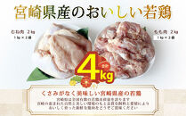 宮崎県産若鶏もも　むね肉セット