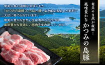 かつみの島豚いちばん焼肉バラエティセット750g（250g×3パック）|焼肉セット&nbsp;豚肉&nbsp;3人&nbsp;4人&nbsp;5人&nbsp;BBQ&nbsp;焼肉&nbsp;焼き肉