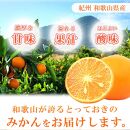 初夏のみかん なつみ 5kg【先行予約】【2025年4月中旬より発送】【UT57】