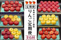 【数量限定】奥州市のりんご定期便・6回（10月～3月） 江刺りんごや新ブランドの食べ比べコース