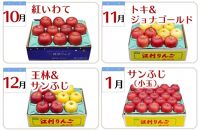 【数量限定】奥州市のりんご定期便・6回（10月～3月） 江刺りんごや新ブランドの食べ比べコース