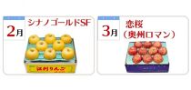 【数量限定】奥州市のりんご定期便・6回（10月～3月） 江刺りんごや新ブランドの食べ比べコース