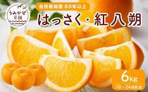 自然栽培歴　60年以上　はっさく・紅八朔　6kg