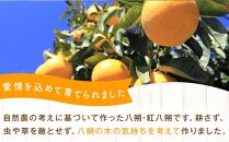 自然栽培歴　60年以上　はっさく・紅八朔　6kg