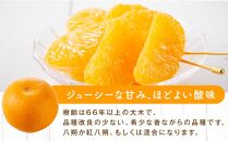 自然栽培歴　60年以上　はっさく・紅八朔　6kg