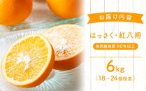 自然栽培歴　60年以上　はっさく・紅八朔　6kg