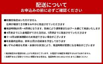 活 伊勢海老 3尾～5尾 セット  合計 約2kg 産地直送