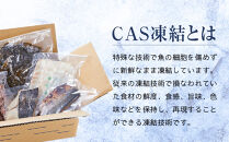 CAS凍結 南紀の誉れ 旬 の 海産物 6品 セット お楽しみ 簡単調理 干物 お造り 塩焼き など