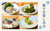 CAS凍結 南紀の誉れ 旬 の 海産物 6品 セット お楽しみ 簡単調理 干物 お造り 塩焼き など