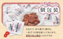 紀州南高梅 はちみつ 種なし 干梅 1.2kg 【 紀州南高梅 干し梅 種無し梅干し たねなし梅干し はちみつ干し梅 ハニー はちみつ梅干し ハチミツ梅干し 干し梅 】