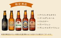 【定期便 全12回】ナギサビール330ml×30本を毎月お届け（季節限定商品を含む3種類）