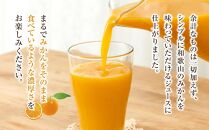 無添加・ストレート果汁！和歌山のみかんジュース『熊野の雫』　