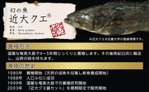 近大くえ鍋セット ( 500g ）こだわりだしぽん酢付き【2024年11月中旬～12月中旬発送】