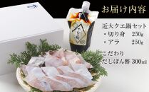 近大クエ鍋セット ( 500g ）こだわりだしぽん酢付き【2025年11月中旬～12月中旬発送】