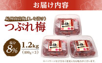 紀州南高梅　《つぶれ梅セット》　しそ漬け梅　塩分8％（1.2キロ）